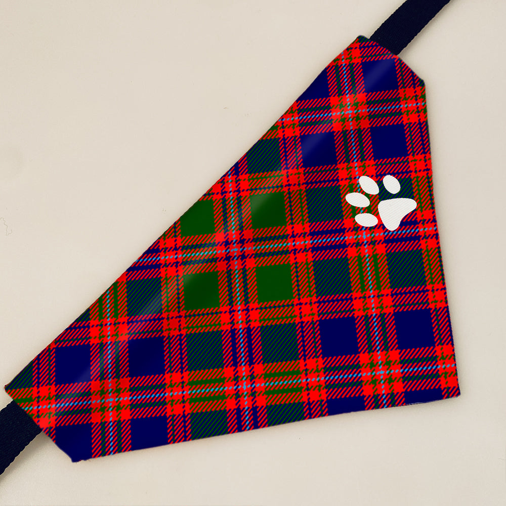 macintyre tartan tie