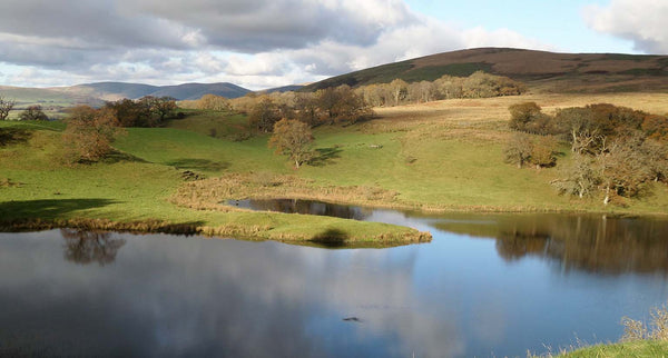 Galloway Clan History