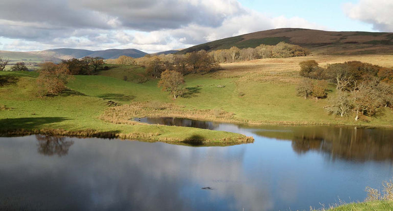 Galloway Clan History