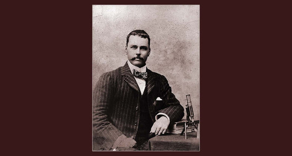 Ross Clan and Tartan Shop