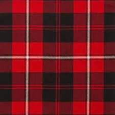 Wool Tartan Tie with Clan Crest Clip
