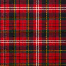 Tartan Skull - Any Tartan