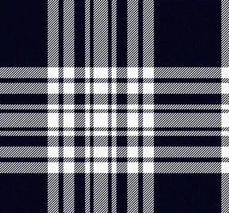 Tartan Skull - Any Tartan