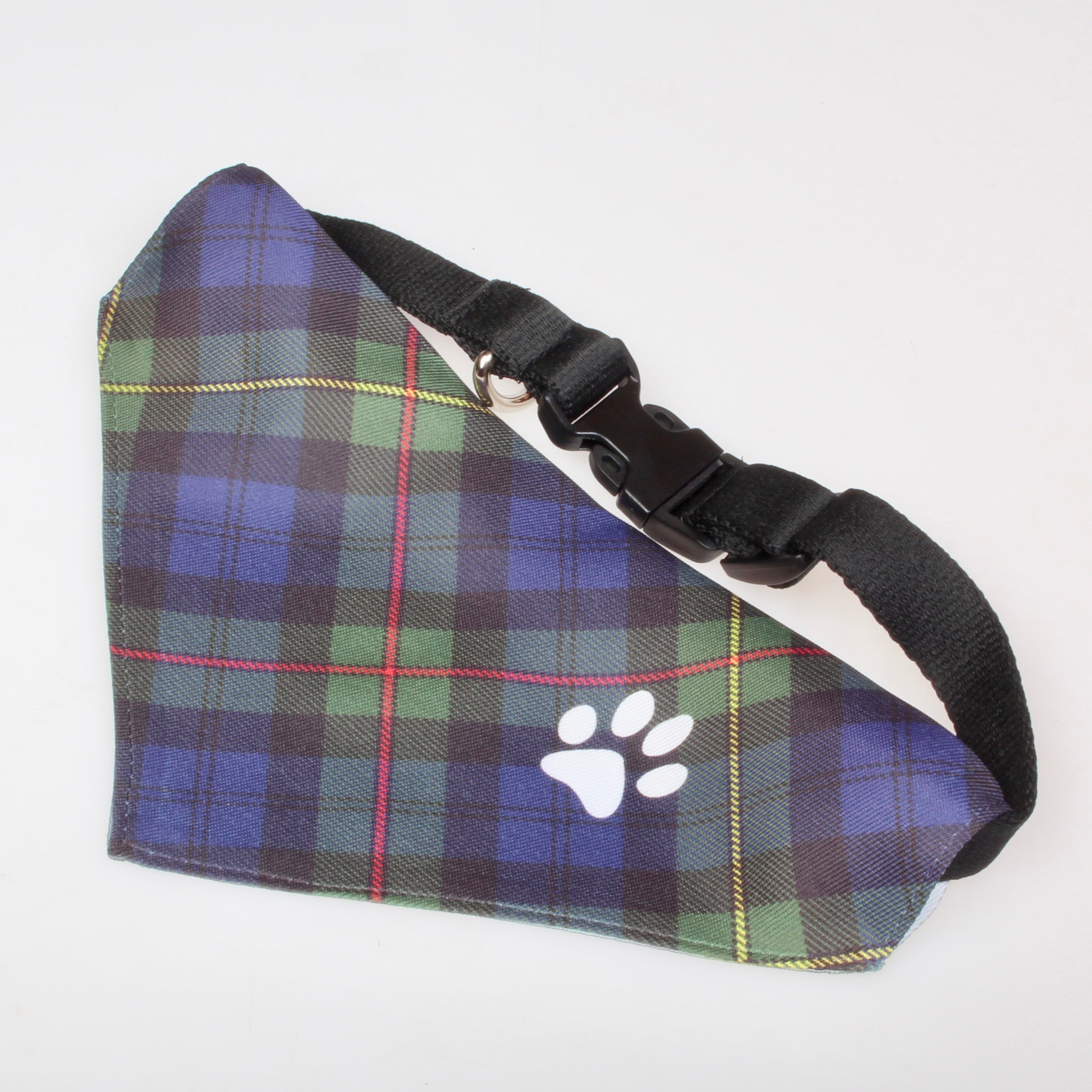 MacEwan Modern Tartan Collection