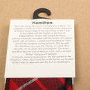Close-up of the Pure Wool Tie in Hamilton Modern Tartan showcasing its vibrant colors and quality craftsmanship.