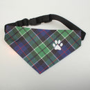 Leslie Hunting Modern Tartan Pet Bandana