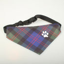Blair Modern Tartan Pet Bandana
