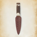 Scottish Staghorn Sgian Dubh with Walnut handle and Brown Leather Sheath, featuring a stainless steel blade from The Sgian Dubh Co, presented in a stylish black box.