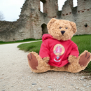 Clan Crest Hoodie Bear