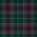 Medium Weight  Old and Rare Stole