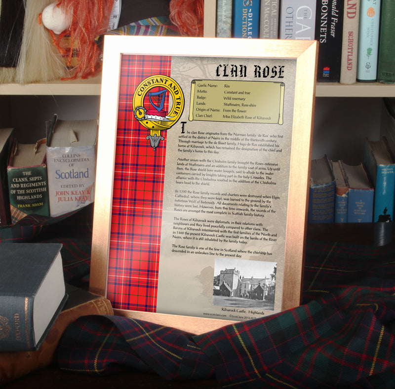 Rose Clan History Print - Choose Framed or Unframed