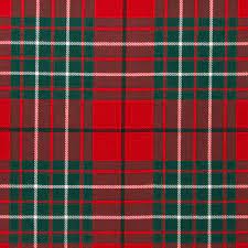 Tartan Skull - Any Tartan