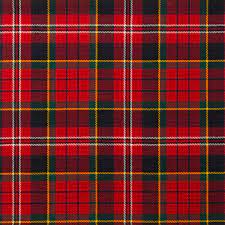 Reiver Wool Tartan Shawl in 500 Tartans