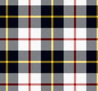 Luxury Lightweight Scarf in your choice of Tartan