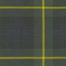 Kilted Skirt in Polyviscose