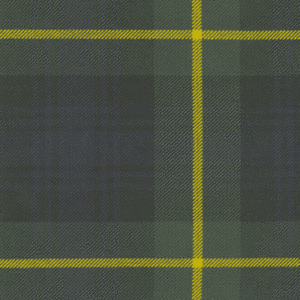 Kilted Skirt in Polyviscose