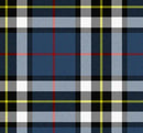 Tartan Handfasting Ribbon - Pointed