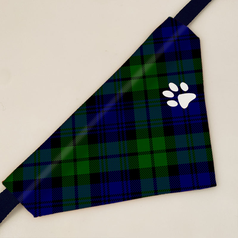 Campbell Modern Tartan Pet Bandana