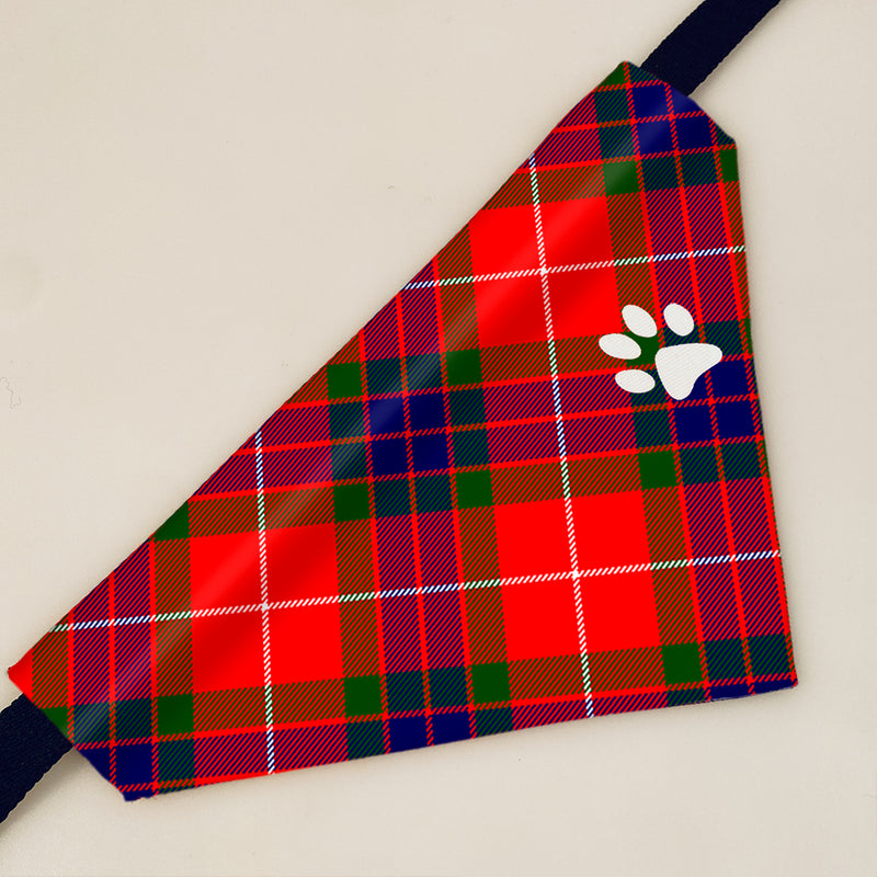 Fraser Modern Tartan Pet Bandana