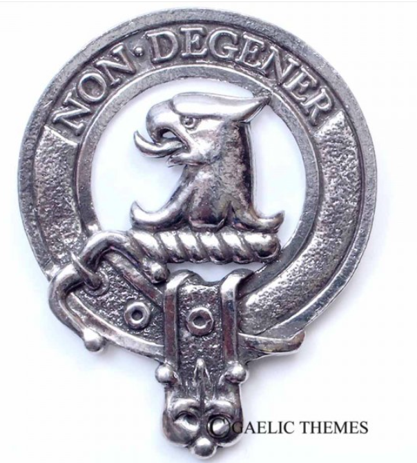 Wedderburn Clan Crest Badge in Pewter