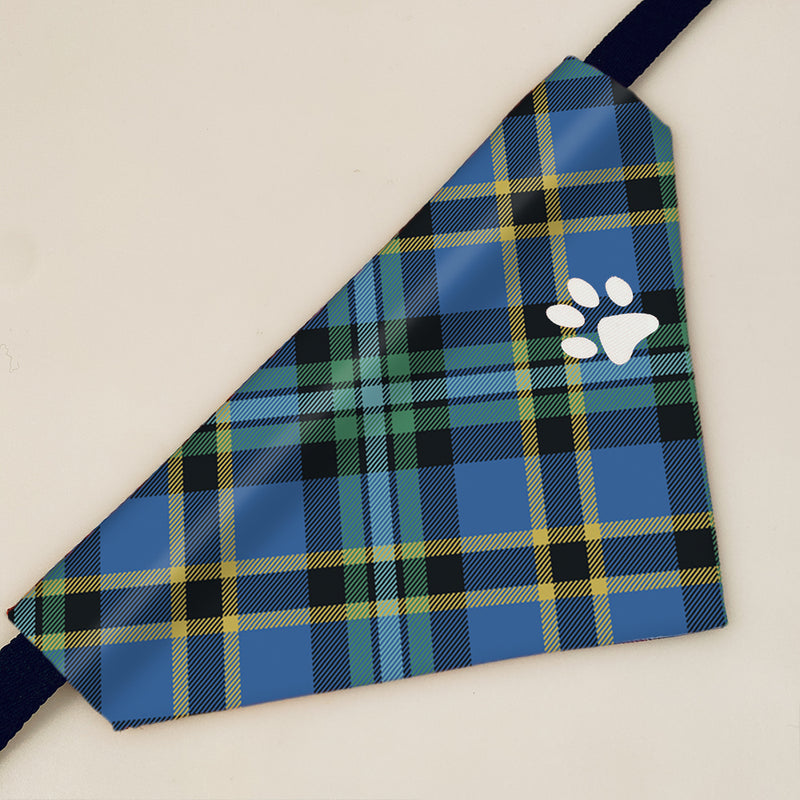 Weir Ancient Tartan Pet Bandana